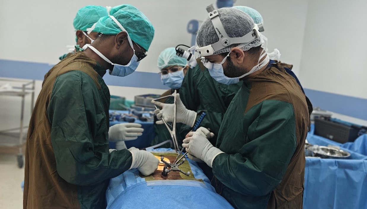 How Can You Get the Best Neck Pain and Cervical Spine Treatment in Hisar?